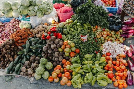 Biyoteknoloji ve Tıp Alanındaki Yenilikler